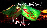 زخمی‌ترین فریاد